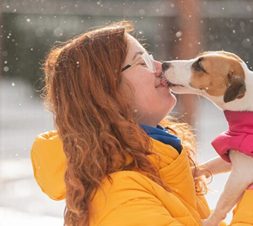 Seasonal pet care