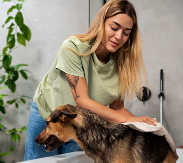 Health & hygiene advice