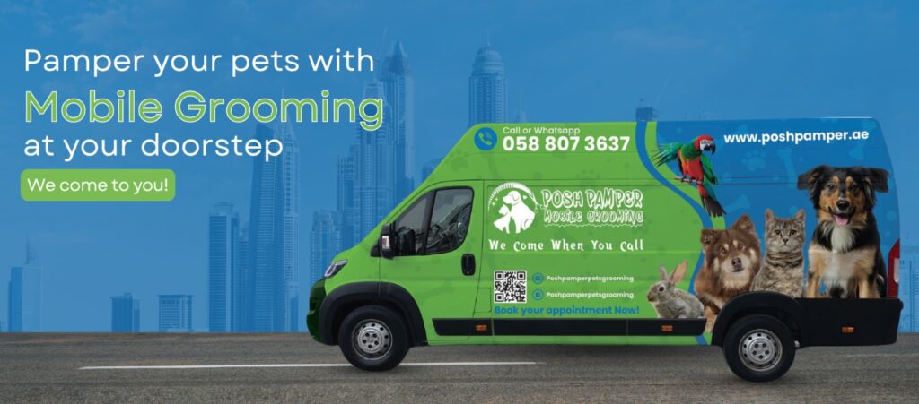 Posh Papmer Pet Grooming Service Dubai