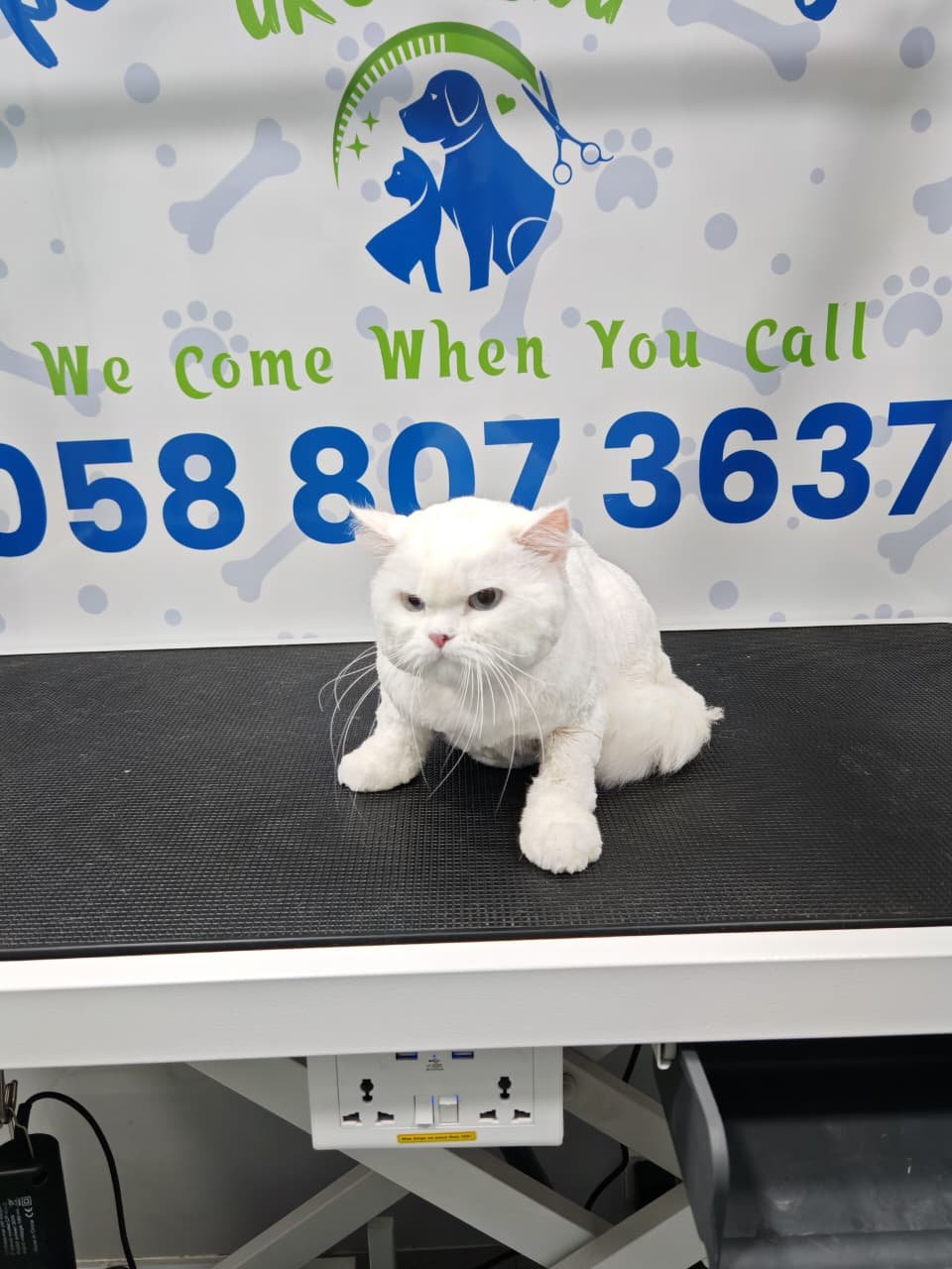 Eye Cleaning
