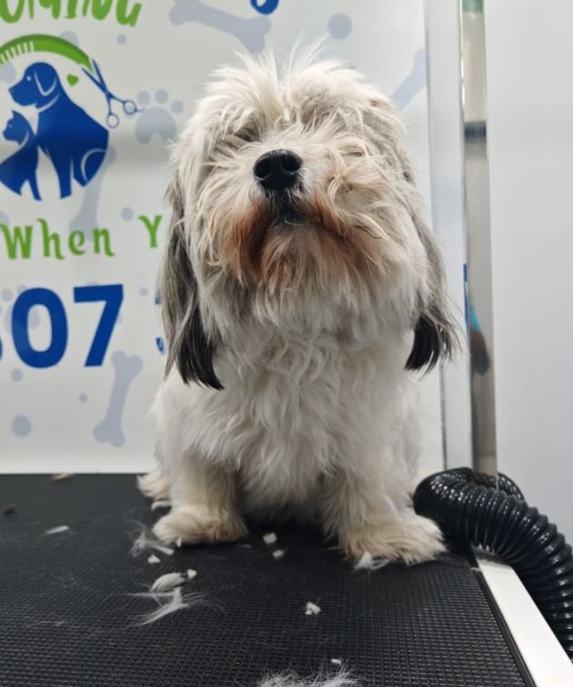 Revitalizing Wash & Dry