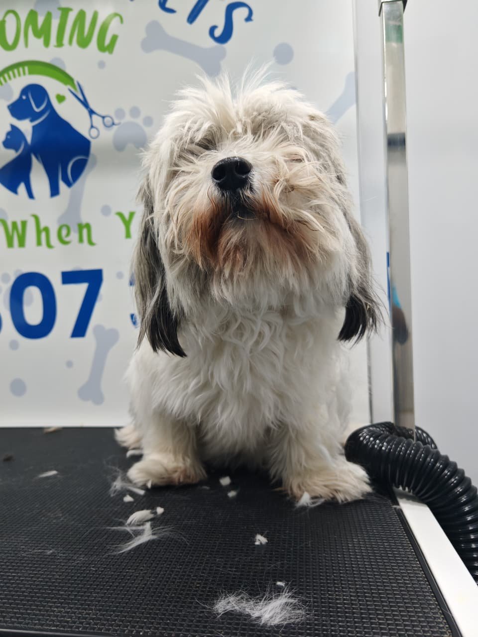 Revitalizing Wash & Dry